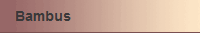 Bambus
