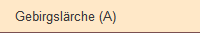 Gebirgslrche (A)
