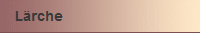 Lrche