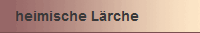 heimische Lrche