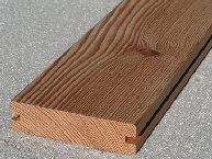 heimische_laerche_gebuerstet