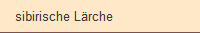 sibirische Lrche