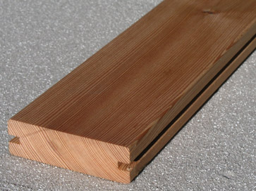 heimische_laerche_glatt